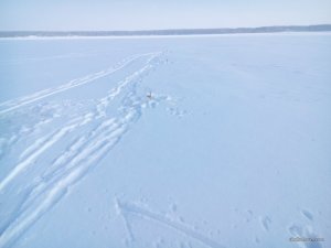 DSC_0004.jpg