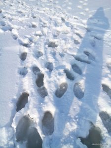 DSC_0007.jpg