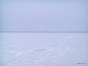 DSC_0008.jpg