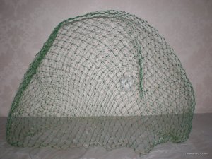 DSCN2168.jpg