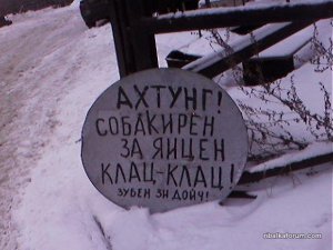 klaxsddd.jpg