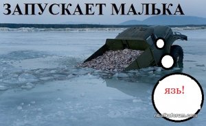 image (1).jpg