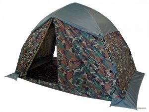 Carp-02.jpg