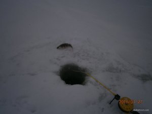 Изображение 155.jpg