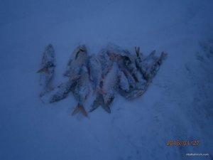 Изображение 161.jpg