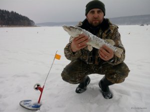 IMG_20160127_092551.jpg