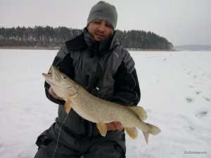 IMG_20160127_095404.jpg