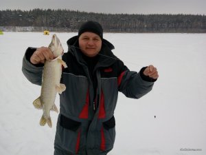 IMG_20160127_100417.jpg