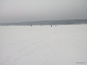 IMG_20160127_082010.jpg