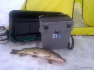280120161066.jpg