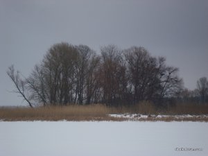 DSC05775.JPG