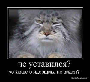 70bd2f931d62.jpg