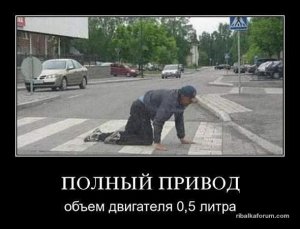 пол литра.jpg