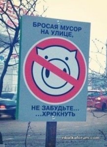 image (8).jpg