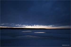 _MG_3800.jpg