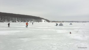 2016-01-30-956.jpg