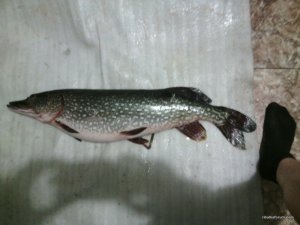 IMG_20160130_181210.jpg