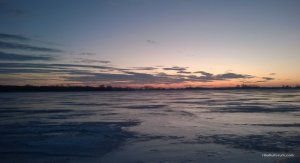 WP_20160131_017.jpg