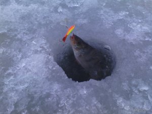 IMG_20160130_094647.jpg