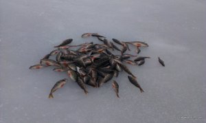 IMAG0297.jpg