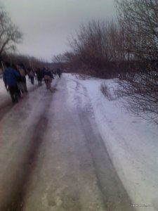 IMG480.jpg