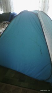 IMG_20160203_151428.jpg