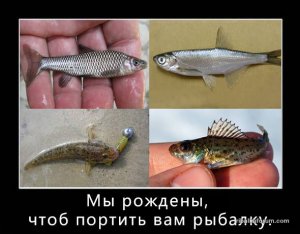 -htvU5h3n60.jpg.pagespeed.ce.F97A78CJPH.jpg