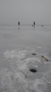 IMG_20160204_142807.jpg