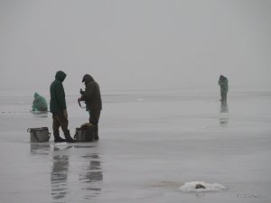IMG_7045.JPG