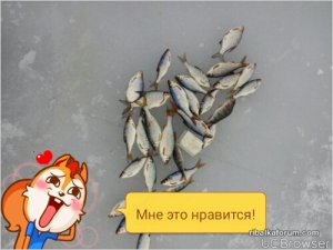 TMPDOODLE1454760857530.jpg