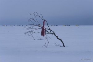 _MG_4060.jpg