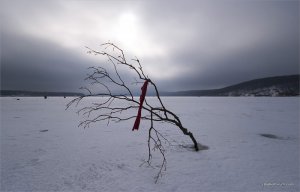 _MG_4176.jpg