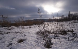 _MG_4223.jpg