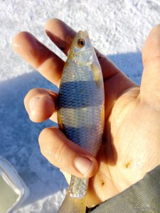 IMG_20160207_092219.jpg