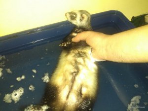 IMG_20160207_134505.jpg