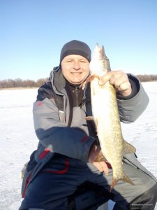 IMG_20160207_141212.jpg