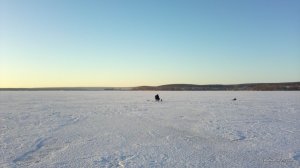 2016-02-07-960.jpg