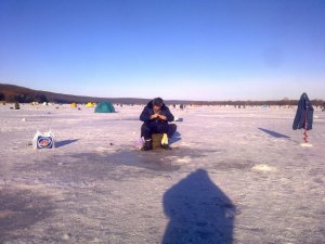 07022016043.jpg