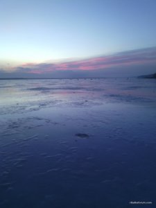IMG_20160203_064927.jpg