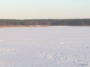 Фото4337.jpg