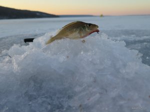 IMG_7099.JPG