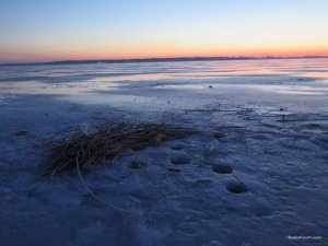 IMG_7060.JPG