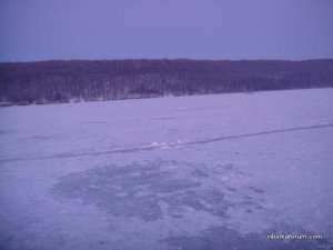DSC07115.JPG