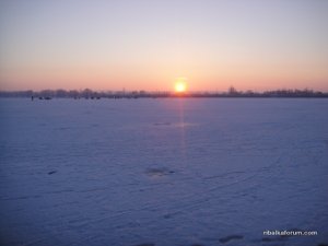 DSC07119.JPG