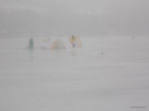 DSCN0040.JPG