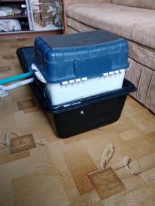 IMG_20160211_151935.jpg