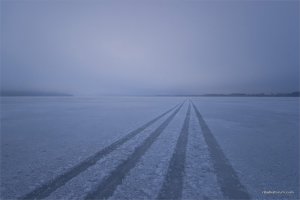 _MG_4420.jpg
