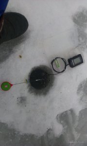 IMAG0308.jpg
