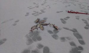 IMAG0309.jpg
