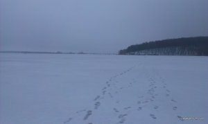 IMAG0312.jpg